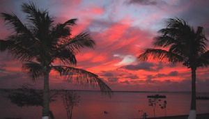 Bonaire Sunset.  This was taken with a Canon PowerShot S1... by Donna L. Rogers 